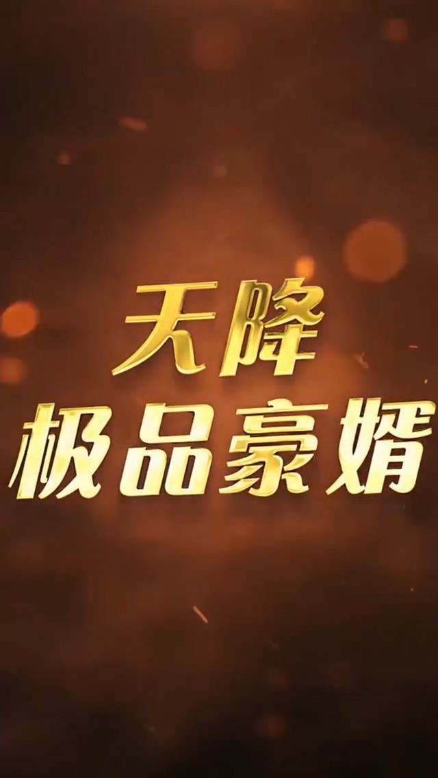 天降极品豪婿 第114集