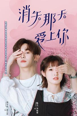 消失那天爱上你 第12集