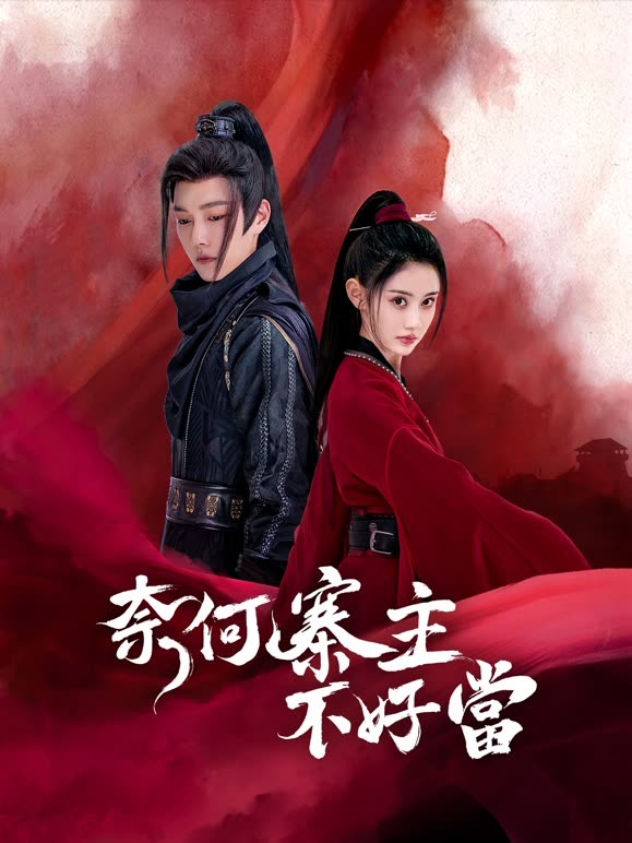 奈何寨主不好当 第02集